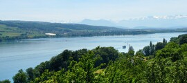 St. Gallen Altenrhein : eralennuki rentimine 