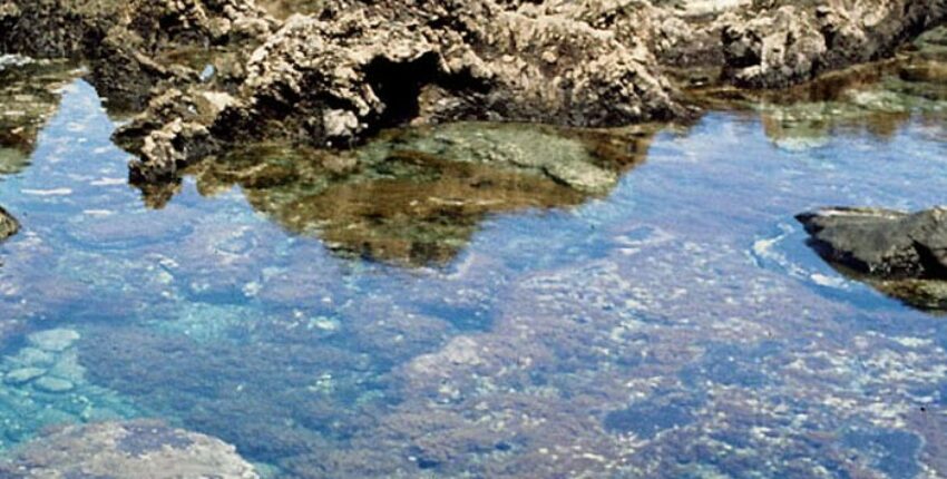 Rentida eralennukit El Hierro lennujaam