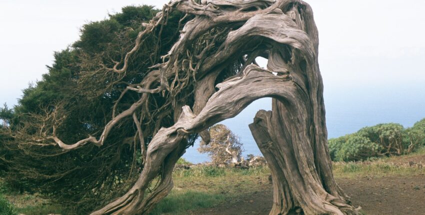 Rentida eralennukit El Hierro lennujaam