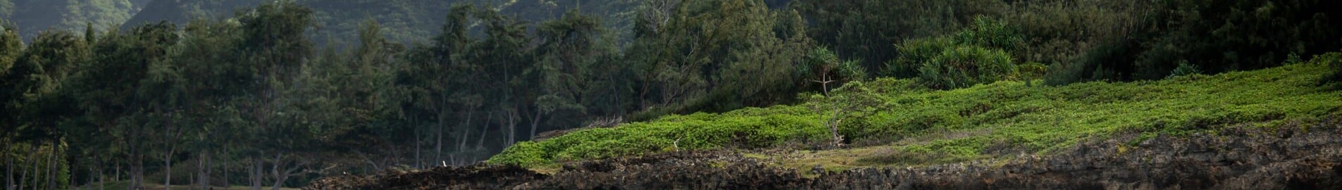 Hawaii : eralennuki ja helikopteri rentimine