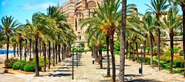 Zürich - Palma de Mallorca : eralennuki rentimine