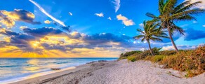 Genf - Palm Beach : eralennuki rentimine