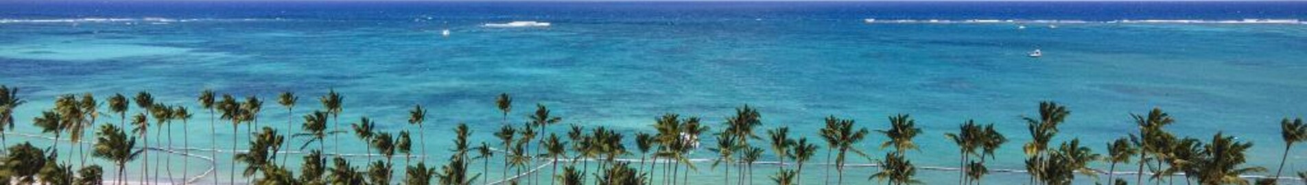 Palm Beach : eralennuki rentimine
