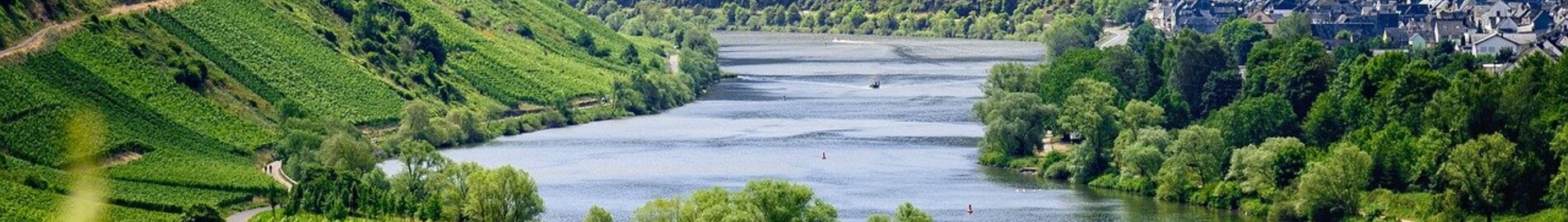 Euroopa viinamarjaistandused, mida saab külastada eralennukiga