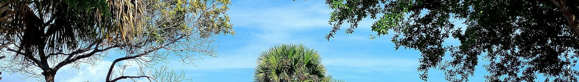 Los Angeles - Tampa : eralennuki rentimine