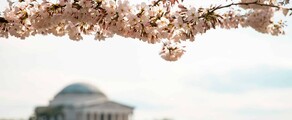 Las Vegas - Washington DC : eralennuki rentimine