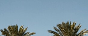 Houston - Orlando : eralennuki rentimine