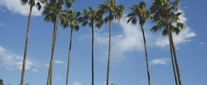New York - Tampa : eralennuki rentimine