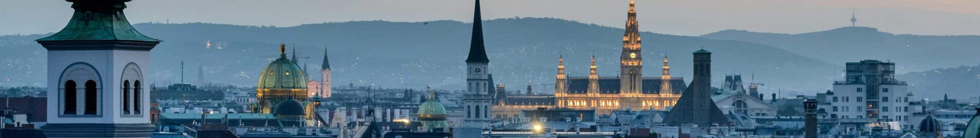 Hamburg - Viin : eralennuki rentimine