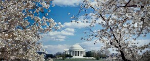 Los Angeles - Washington DC : eralennuki rentimine