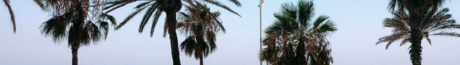 Frankfurt - Barcelona: eralennuki rentimine