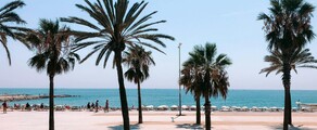 Frankfurt - Barcelona: eralennuki rentimine