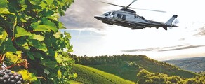 Burgundia viinamarjaistandused: kogemus helikopteriga