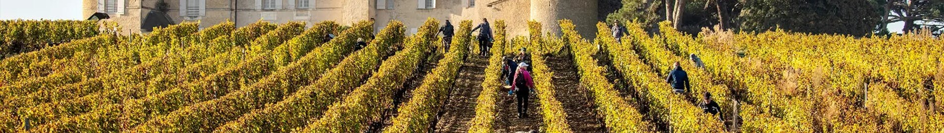 Bordeaux' viinamarjaistandused: helikopteri kogemus