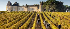 Bordeaux' viinamarjaistandused: helikopteri kogemus