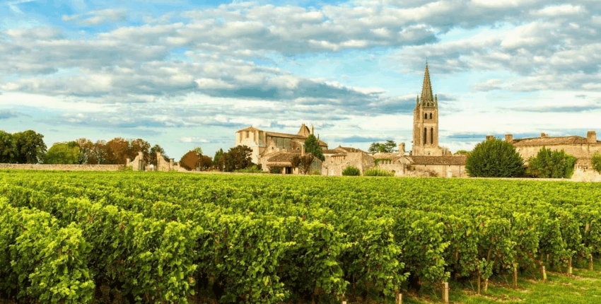 Bordeaux' viinamarjaistandused: helikopteri kogemus